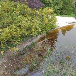 Pintér-kert arborétum Pécs - Egyéb
