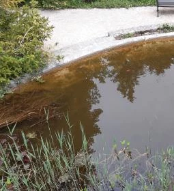 Pintér-kert arborétum