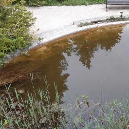 Pintér-kert arborétum Pécs - Egyéb