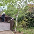 Pintér-kert arborétum Pécs - Egyéb