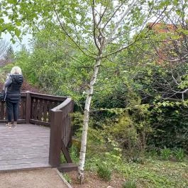 Pintér-kert arborétum Pécs - Egyéb