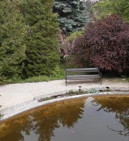 Pintér-kert arborétum