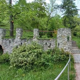 Pintér-kert arborétum Pécs - Egyéb