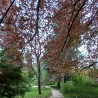 Pintér-kert arborétum Pécs - Egyéb