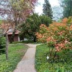 Pintér-kert arborétum Pécs - Egyéb