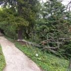 Pintér-kert arborétum Pécs - Egyéb