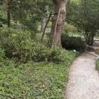 Pintér-kert arborétum Pécs - Egyéb