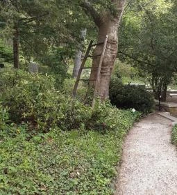 Pintér-kert arborétum