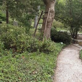 Pintér-kert arborétum Pécs - Egyéb