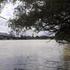 Potykacsárda Baja - Egyéb