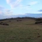 Rácz Tanya Orf? - Környék