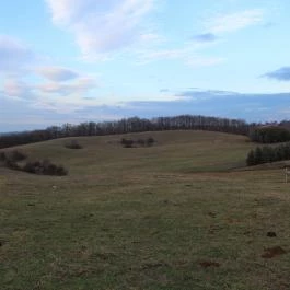 Rácz Tanya, Orf? - Környék