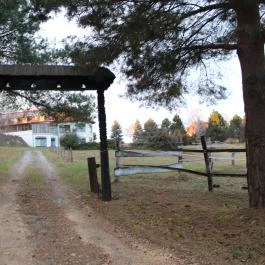 Rácz Tanya, Orf? - Külső kép