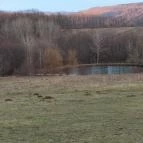 Rácz Tanya Orf? - Környék