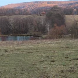 Rácz Tanya, Orf? - Környék