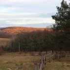 Rácz Tanya Orf? - Környék