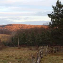 Rácz Tanya, Orf? - Környék