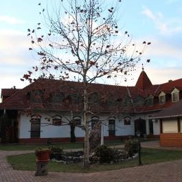 Rácz Tanya, Orf? - Külső kép