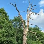 Recski Nemzeti Emlékpark Recsk - Egyéb