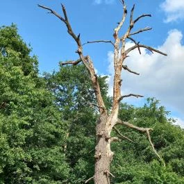 Recski Nemzeti Emlékpark, Recsk - Egyéb