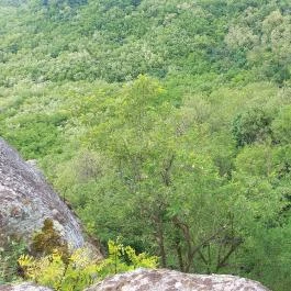 Siroki Vár, Sirok - Egyéb