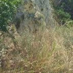 Soós-hegyi kilátó Balatonkenese - Egyéb