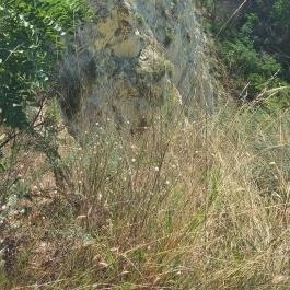 Soós-hegyi kilátó Balatonkenese - Egyéb