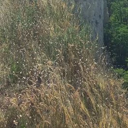 Soós-hegyi kilátó Balatonkenese - Egyéb