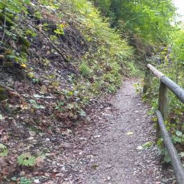 Szalajka-völgy, Szilvásvárad - Egyéb