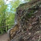 Szalajka-völgy Szilvásvárad - Egyéb