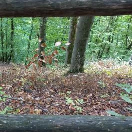 Szalajka-völgy, Szilvásvárad - Egyéb