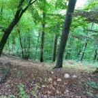 Szalajka-völgy Szilvásvárad - Egyéb