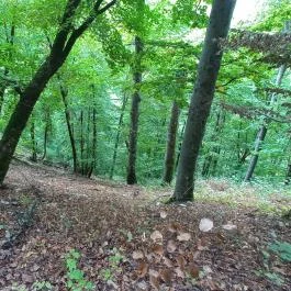 Szalajka-völgy, Szilvásvárad - Egyéb