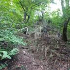 Szalajka-völgy Szilvásvárad - Egyéb