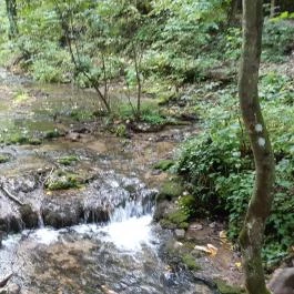 Szalajka-völgy, Szilvásvárad - Egyéb