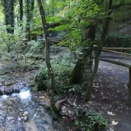 Szalajka-völgy, Szilvásvárad - Egyéb