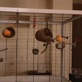 Szarvaskút Bakony Resort +16 Zirc - Belső