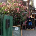 Szőlőskert Étterem Balatonfenyves - Külső kép