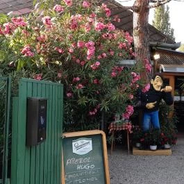 Szőlőskert Étterem Balatonfenyves - Külső kép