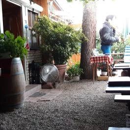 Szőlőskert Étterem Balatonfenyves - Külső kép