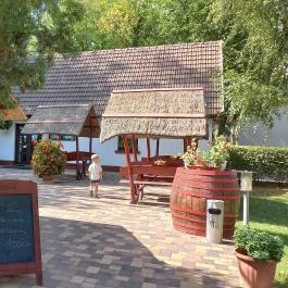 Tanya Csárda Monorierdő - Egyéb