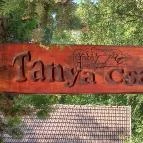 Tanya Csárda Monorierdő - Egyéb