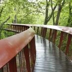 Tardosi Lombkorona-tanösvény Tardos - Egyéb