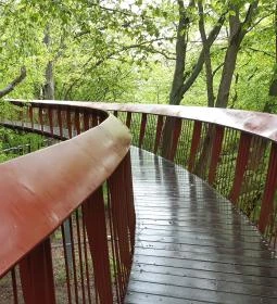 Tardosi Lombkorona-tanösvény