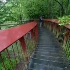 Tardosi Lombkorona-tanösvény Tardos - Egyéb