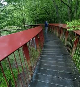 Tardosi Lombkorona-tanösvény