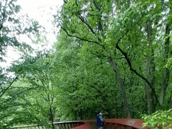 Tardosi Lombkorona-tanösvény Tardos