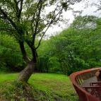 Tardosi Lombkorona-tanösvény Tardos - Egyéb