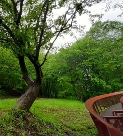 Tardosi Lombkorona-tanösvény