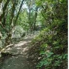 Tihanyi barátlakások Tihany - Egyéb